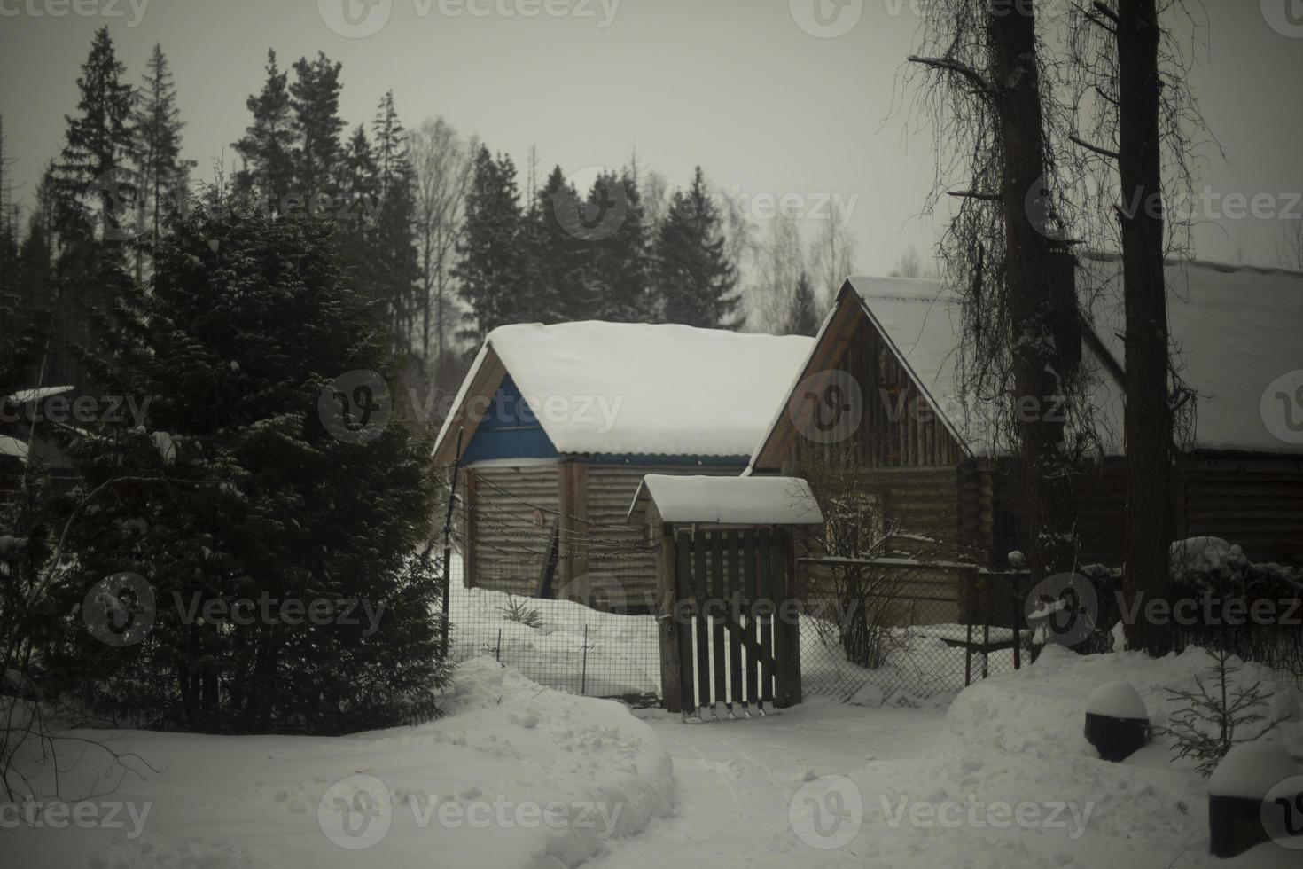 Casa nel villaggio nel inverno. agricoltura nel foresta nel neve. tetto nel neve. piccolo Casa. foto
