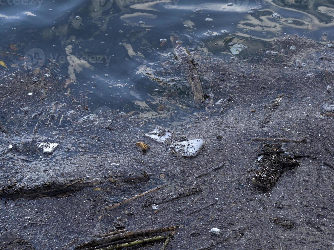 spazzatura plastica sciocchezze spazzatura mare foto