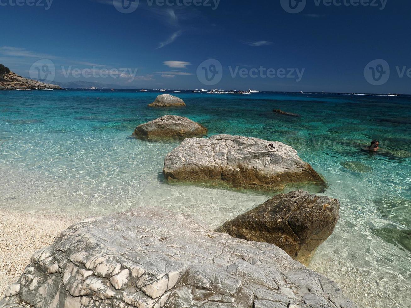 gabbiano baia baia dei gabbiani spiaggia sardegna Visualizza cristallo acque foto
