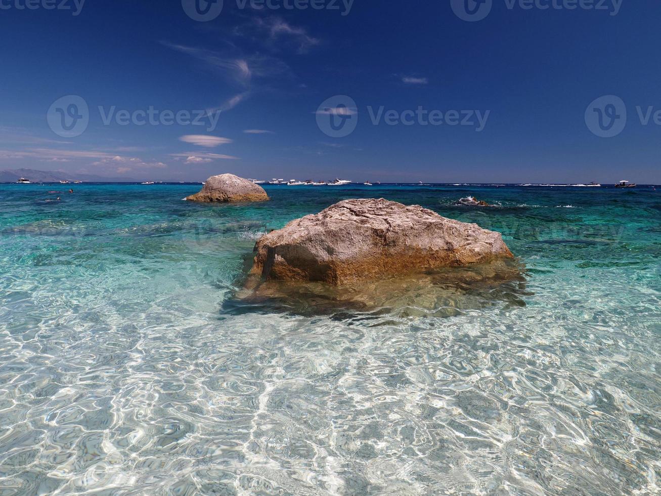 gabbiano baia baia dei gabbiani spiaggia sardegna Visualizza cristallo acque foto