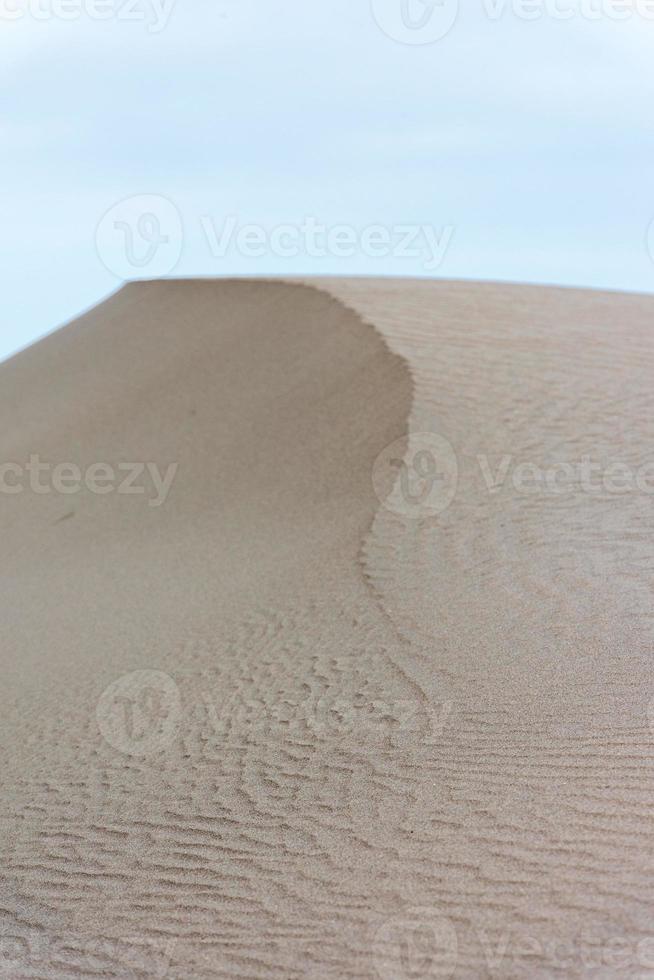 sabbia dune vicino il mare spiaggia foto