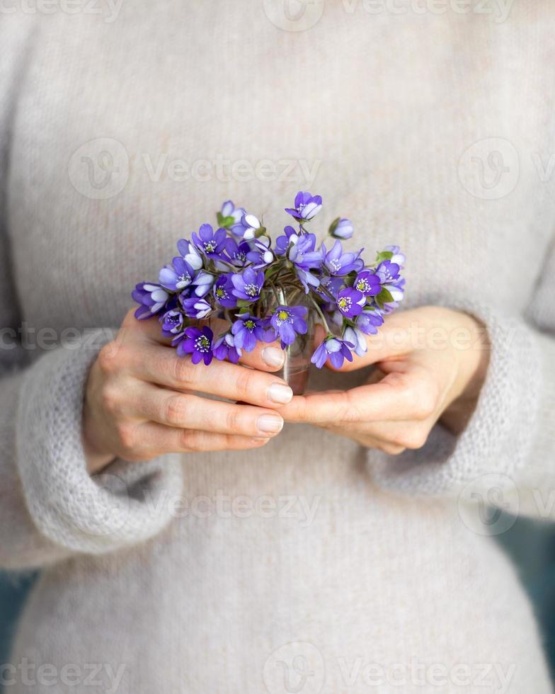 mani delle donne che tengono mazzo di fiori di mosto di rene in fiore foto