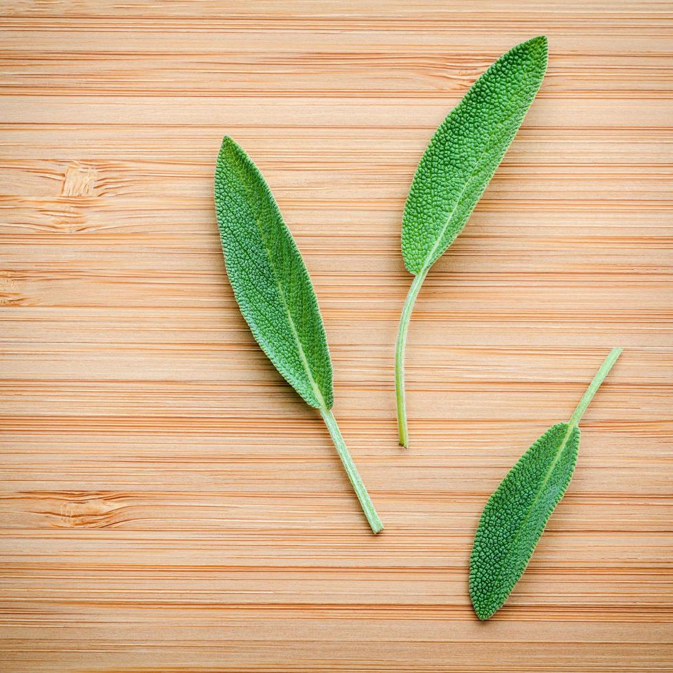 foglie di salvia fresca su fondo in legno foto