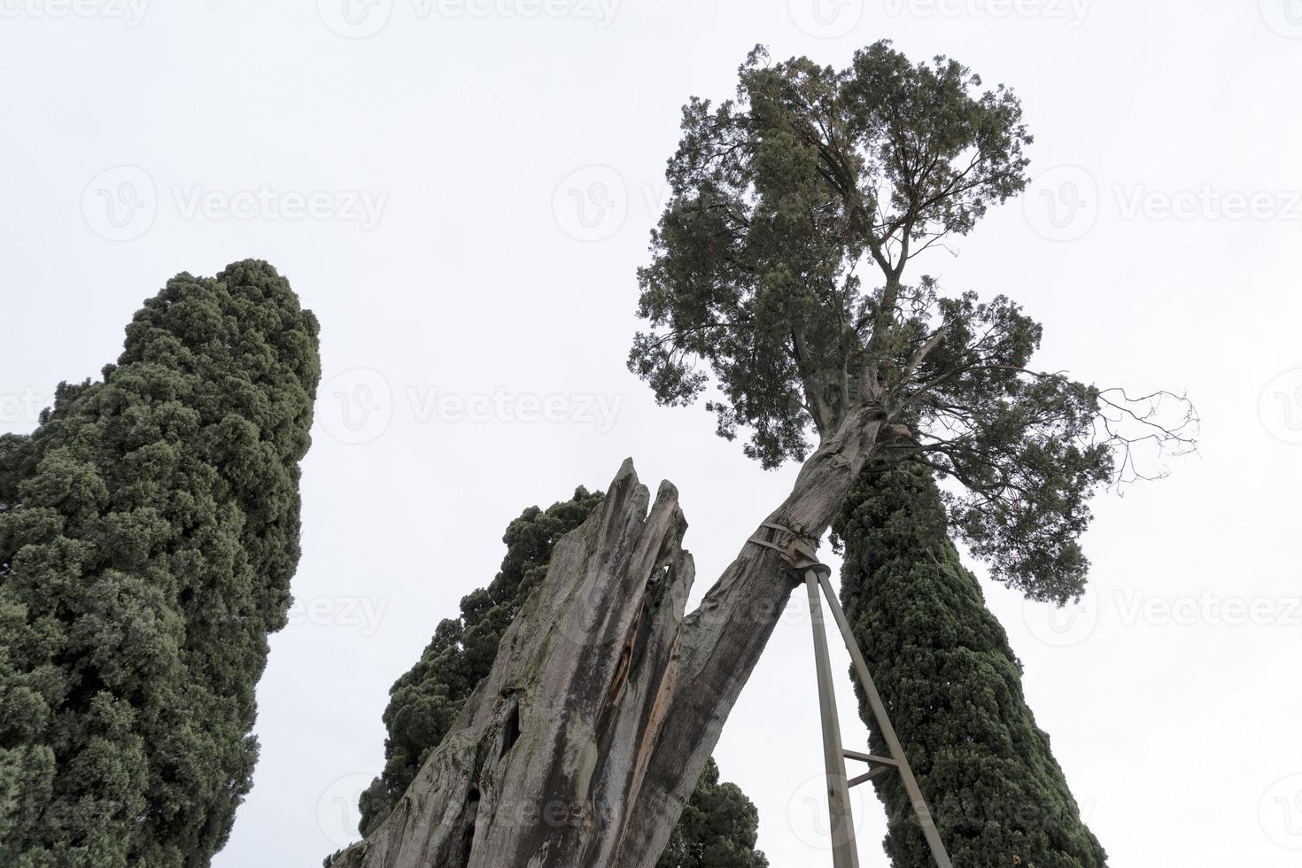 bagno di diocleziano nel Roma foto