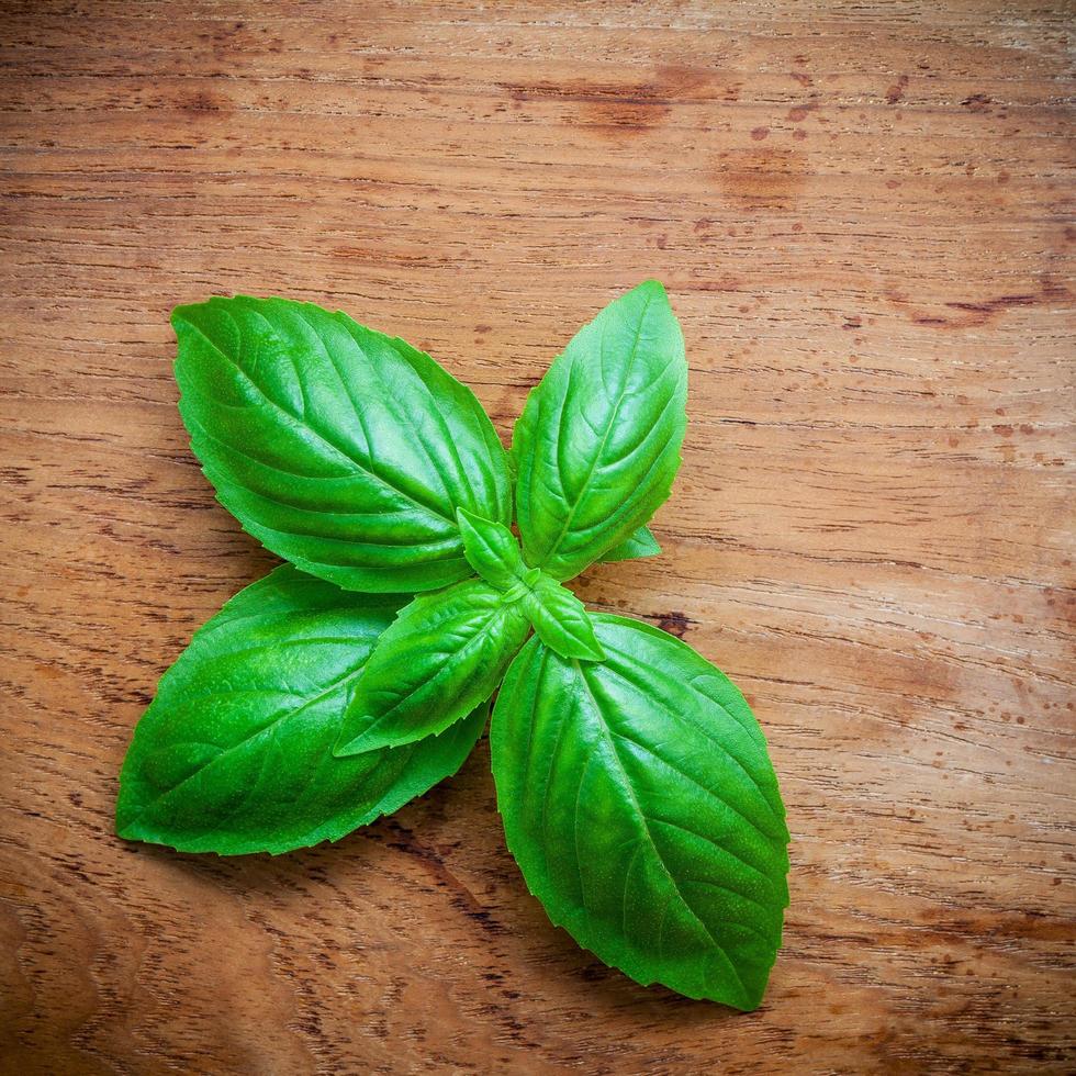 foglie di basilico fresco su uno sfondo di legno di teak squallido foto