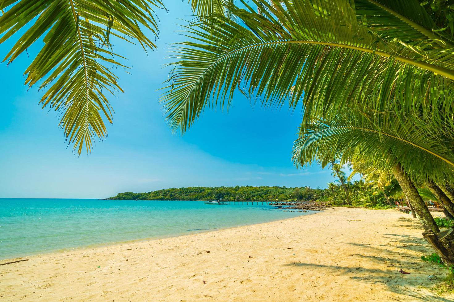 bellissima spiaggia tropicale foto