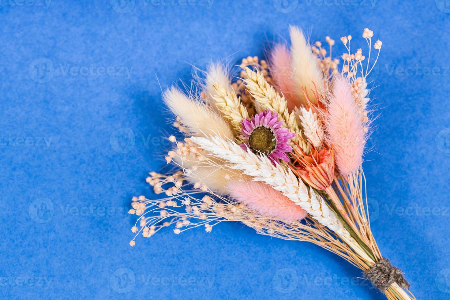 legato mazzo di secco fiore e spighette su blu foto