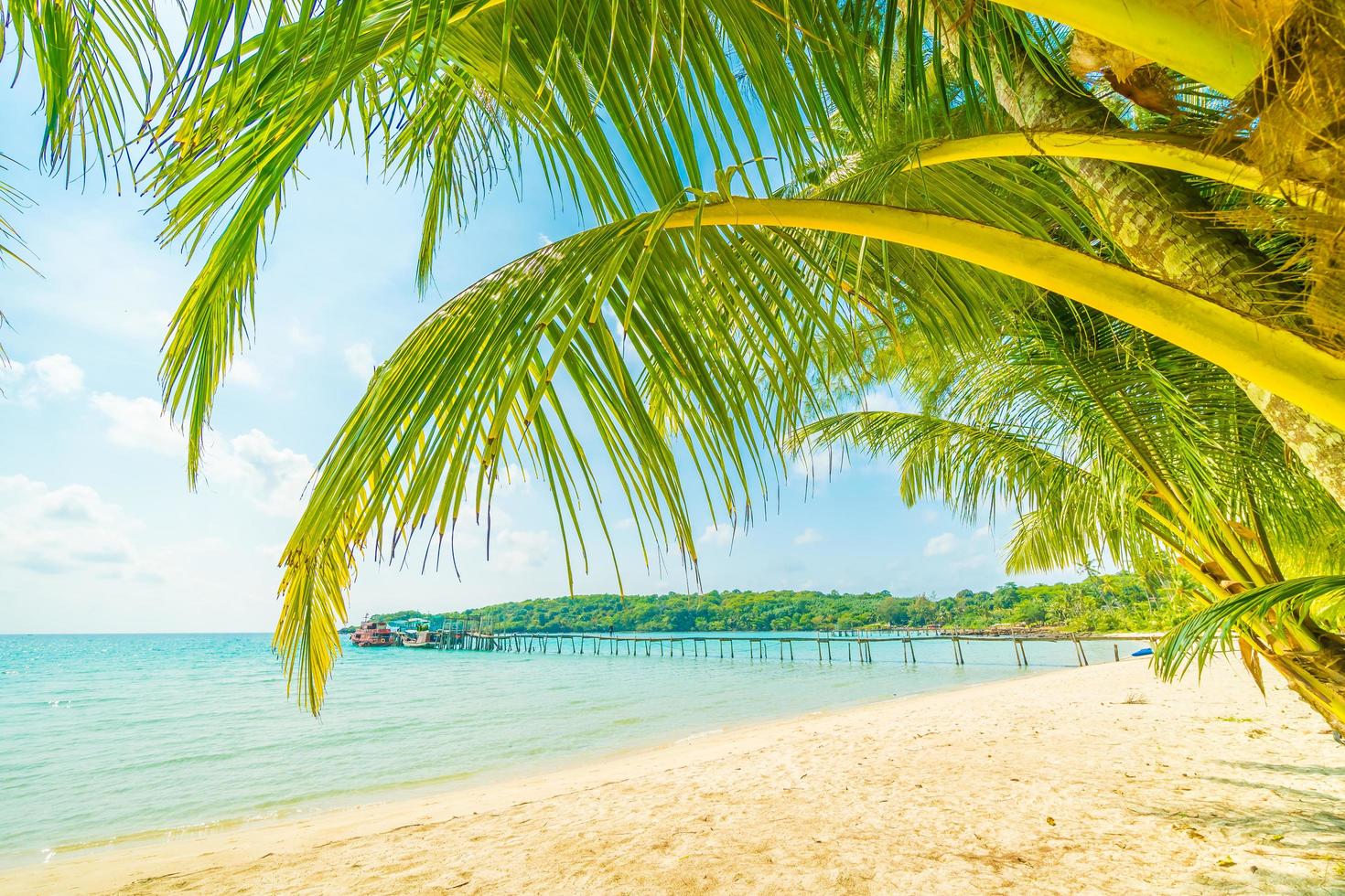 bellissima spiaggia tropicale foto