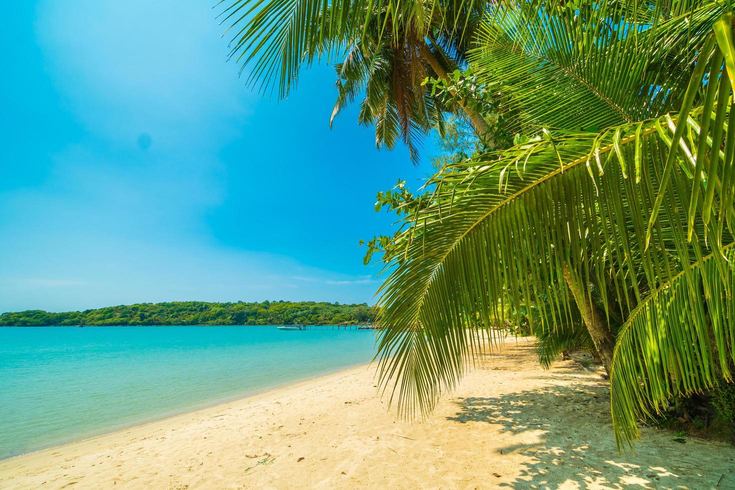 spiaggia su una bellissima isola paradisiaca foto