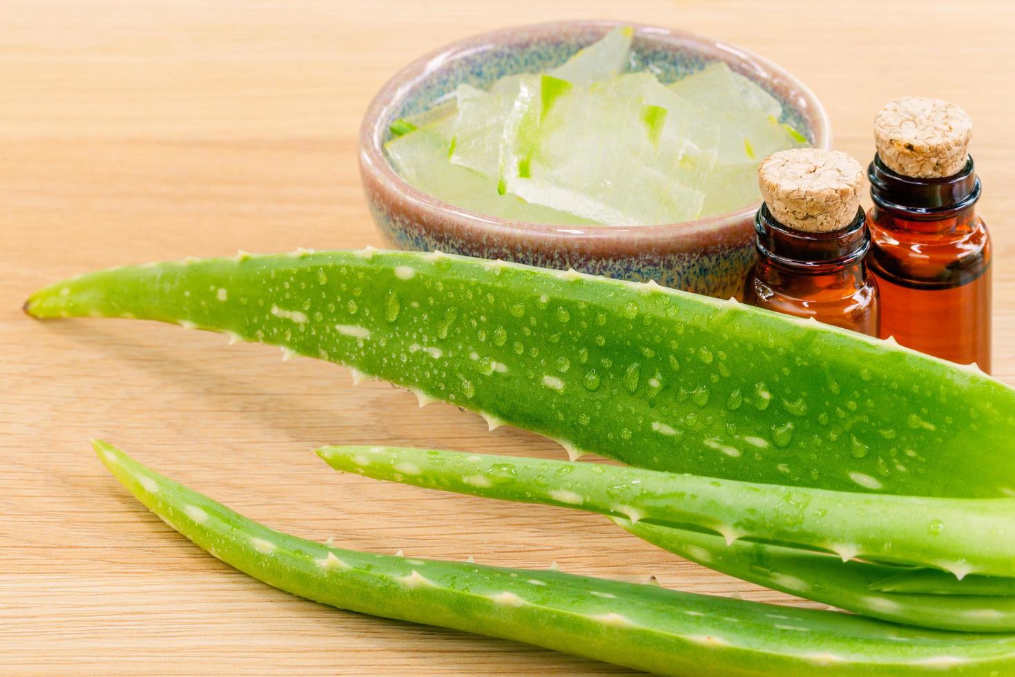 ingredienti di aloe vera foto