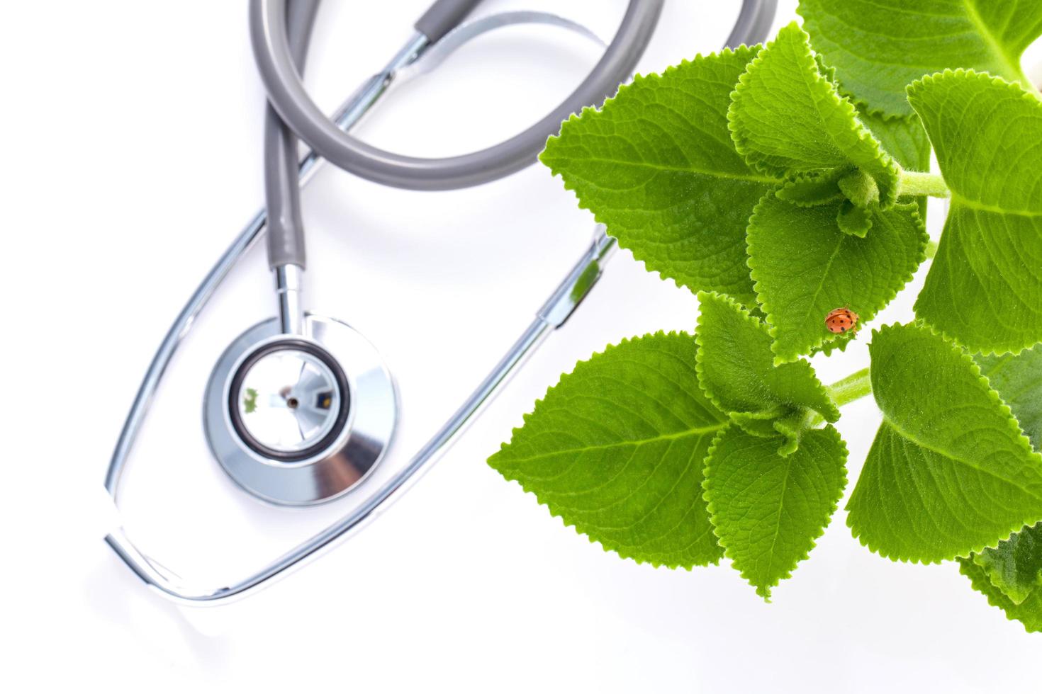 stetoscopio e foglie verdi su sfondo bianco foto