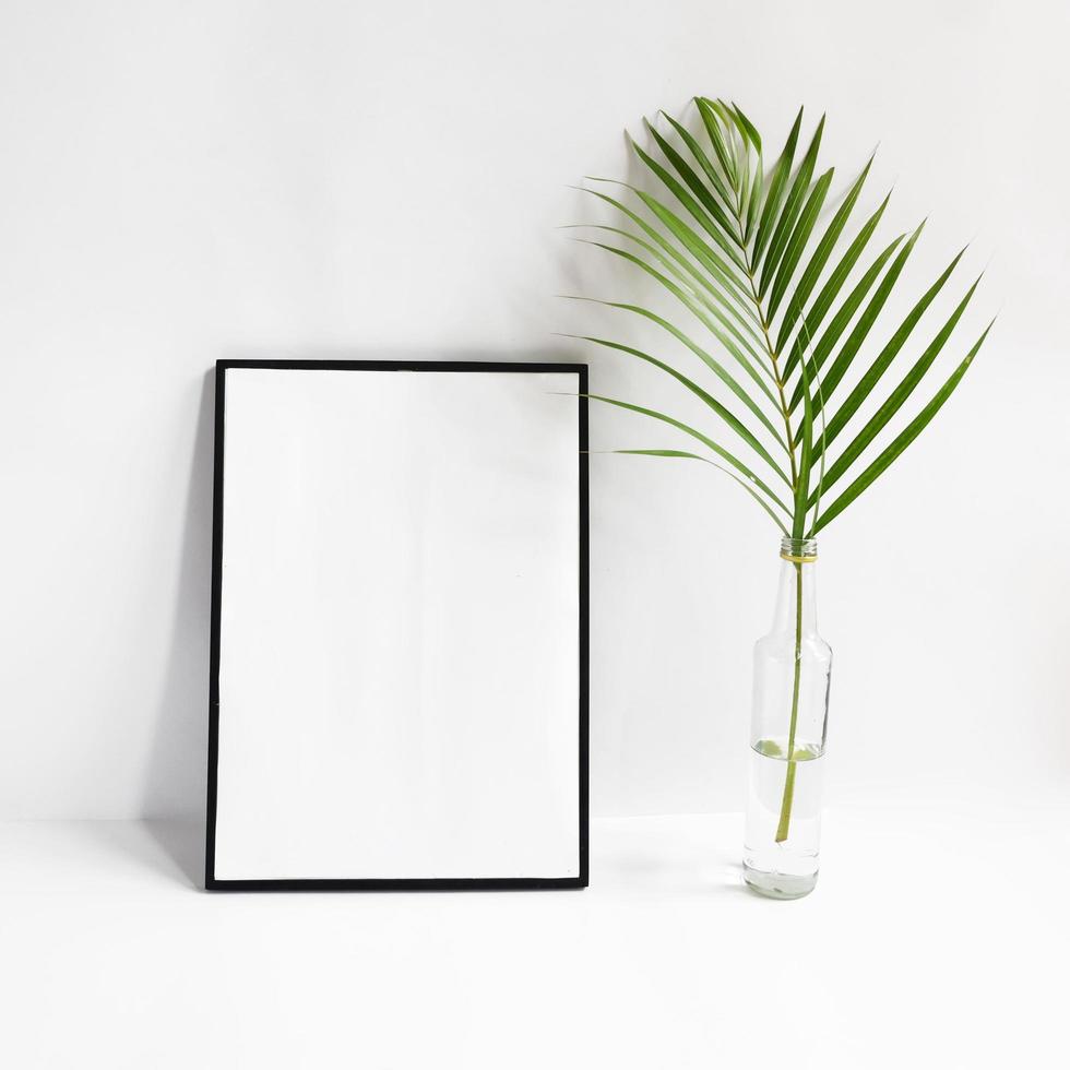 cornice vuota con pianta su sfondo bianco foto