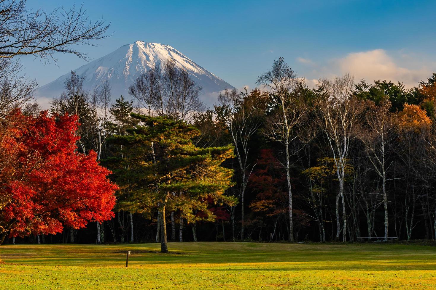 mt. fuji in giappone in autunno foto