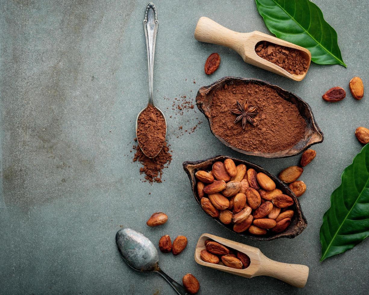 cacao in polvere e fave di cacao su uno sfondo grigio foto