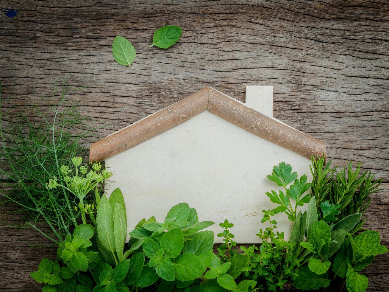 casa di legno ed erbe aromatiche foto