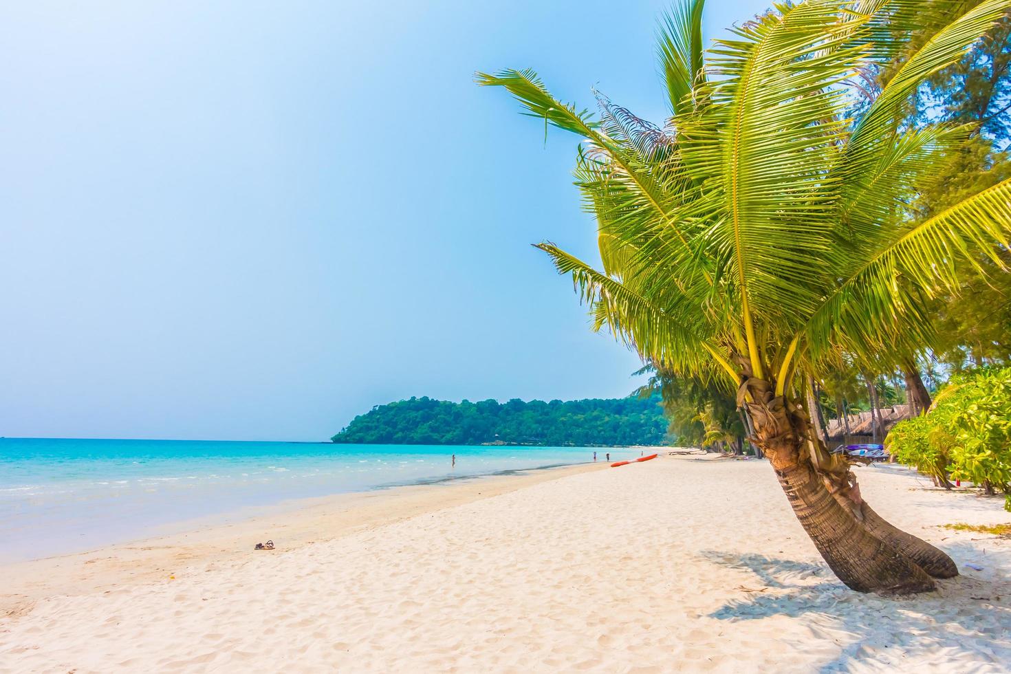 spiaggia tropicale con palme foto