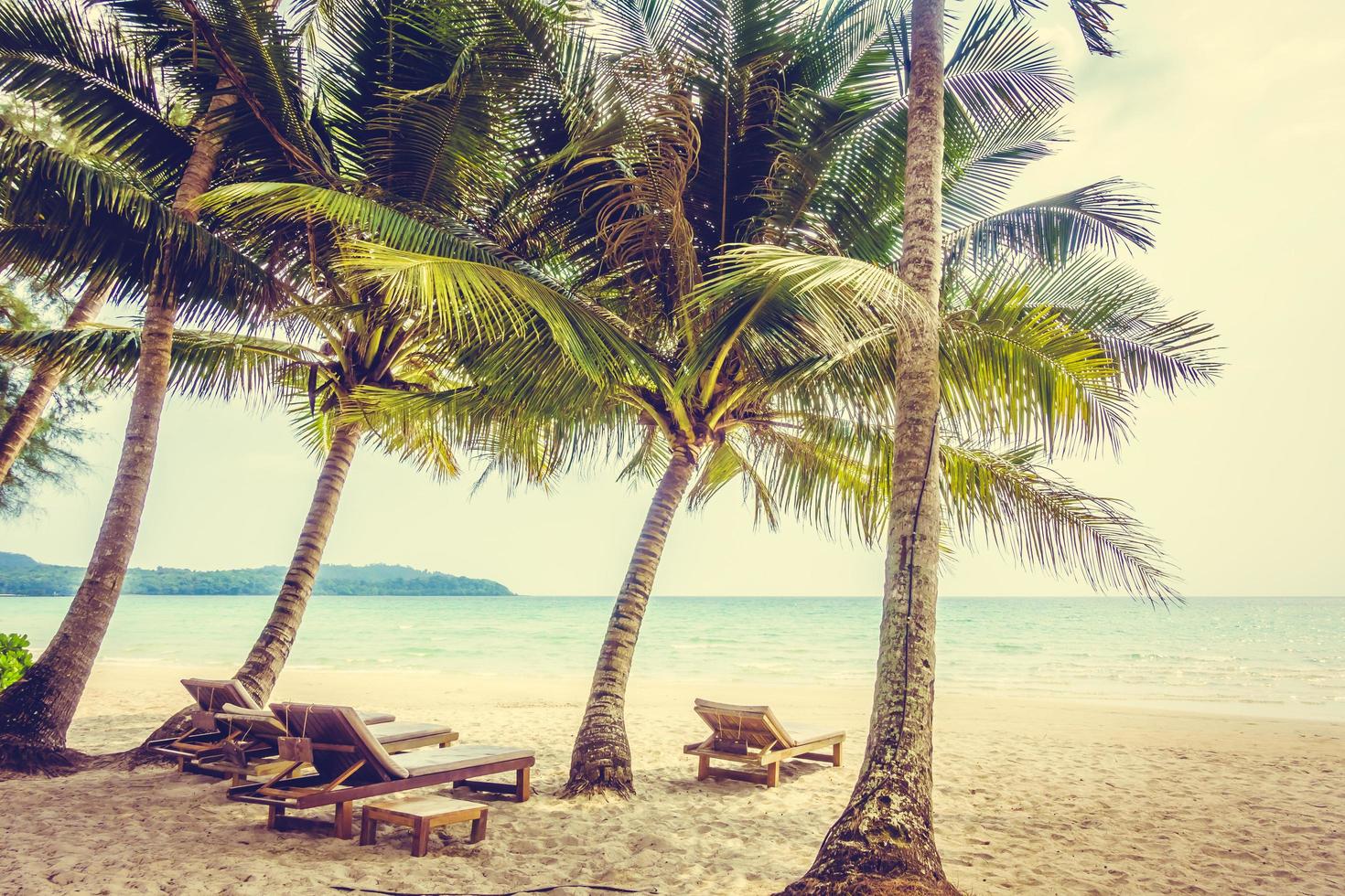 spiaggia tropicale con palme foto