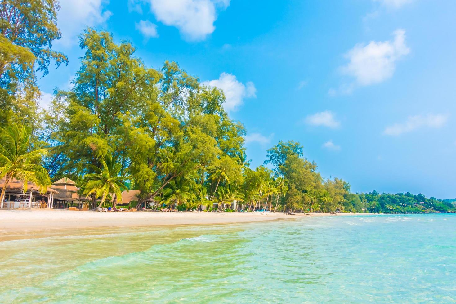 spiaggia tropicale con palme foto