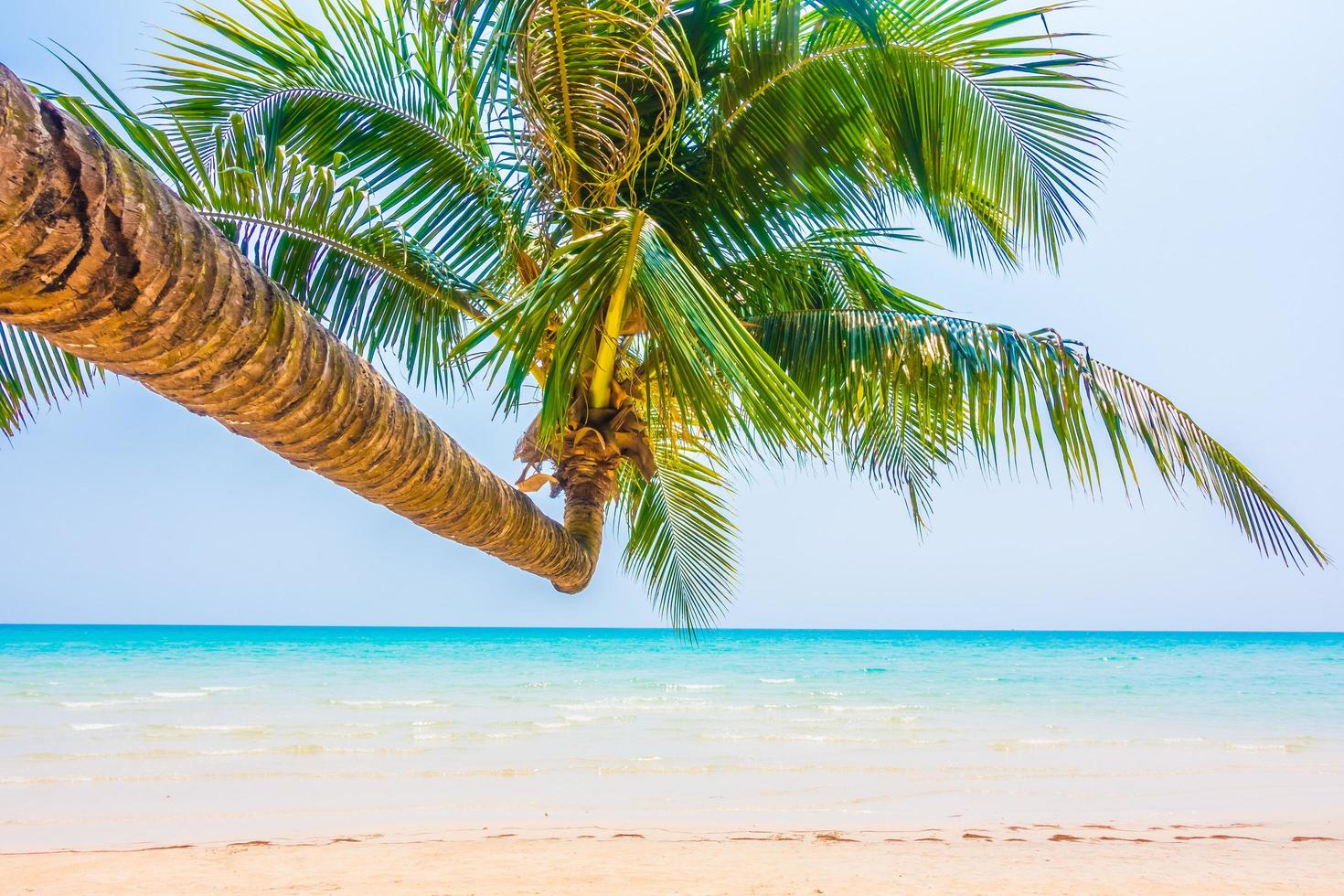 spiaggia tropicale con palme foto