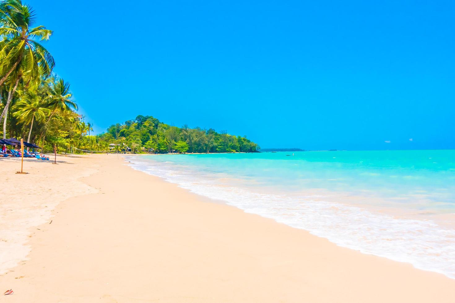 spiaggia tropicale con palme foto