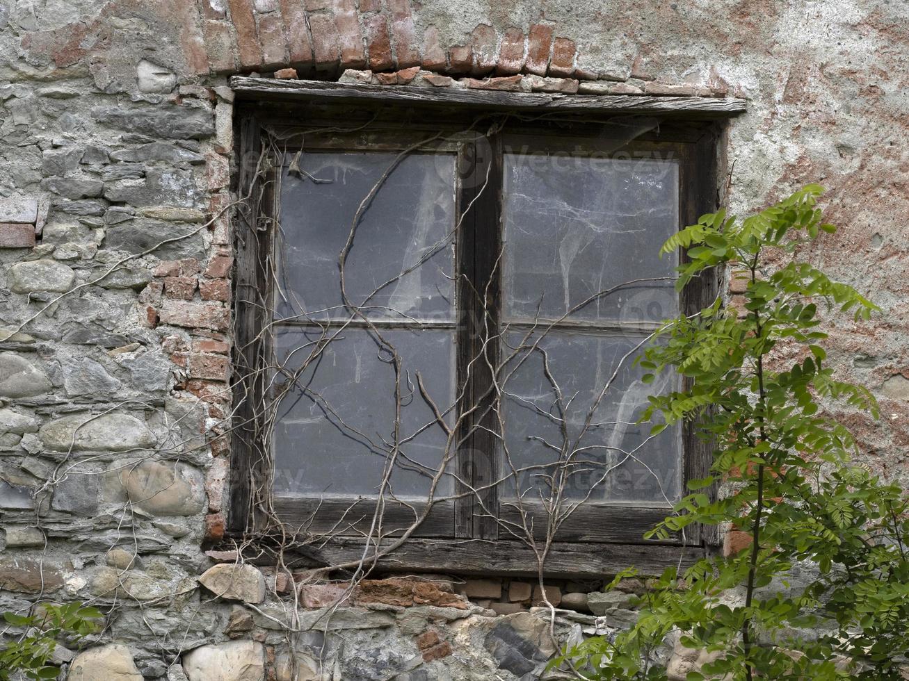 edera su vecchio Casa finestra foto