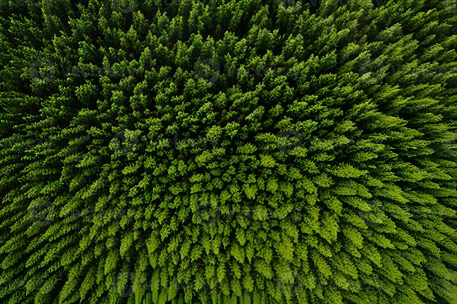 verde strutturato natura sfondo. foto