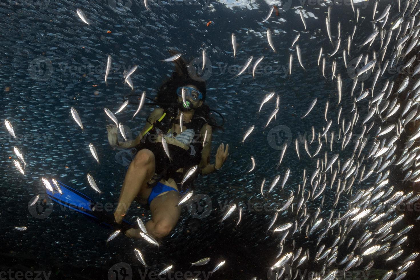 beaytiful latina tuffatore dentro un' scuola di pesce foto