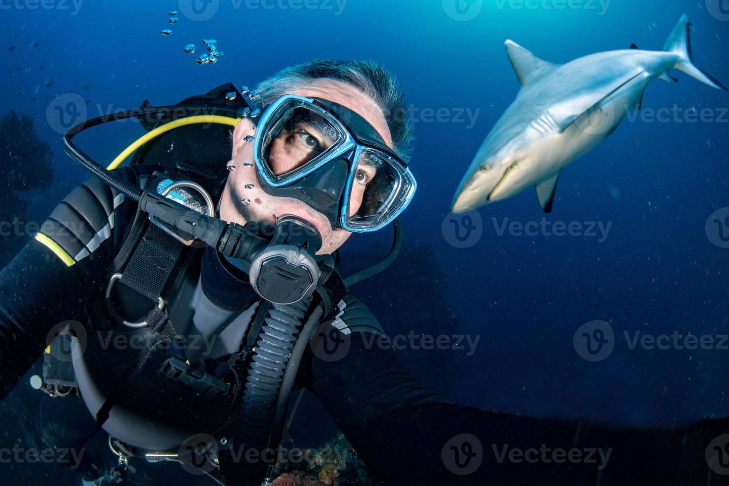 subacqueo autoscatto con grigio squalo pronto per attacco foto