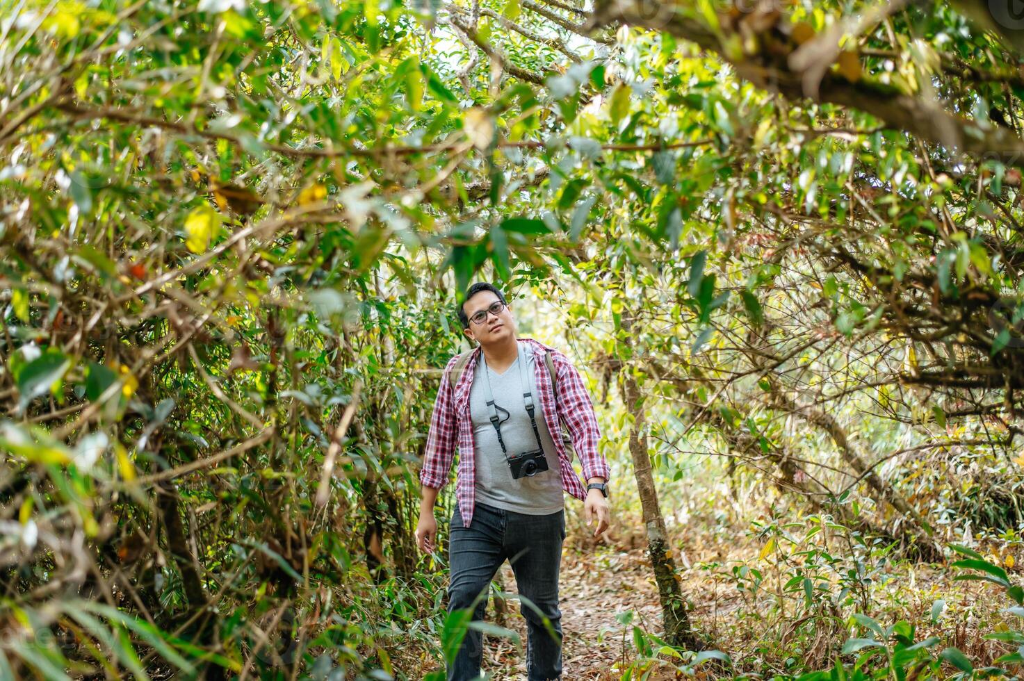 giovane il trekking uomo a piedi su pista nel natura foresta foto