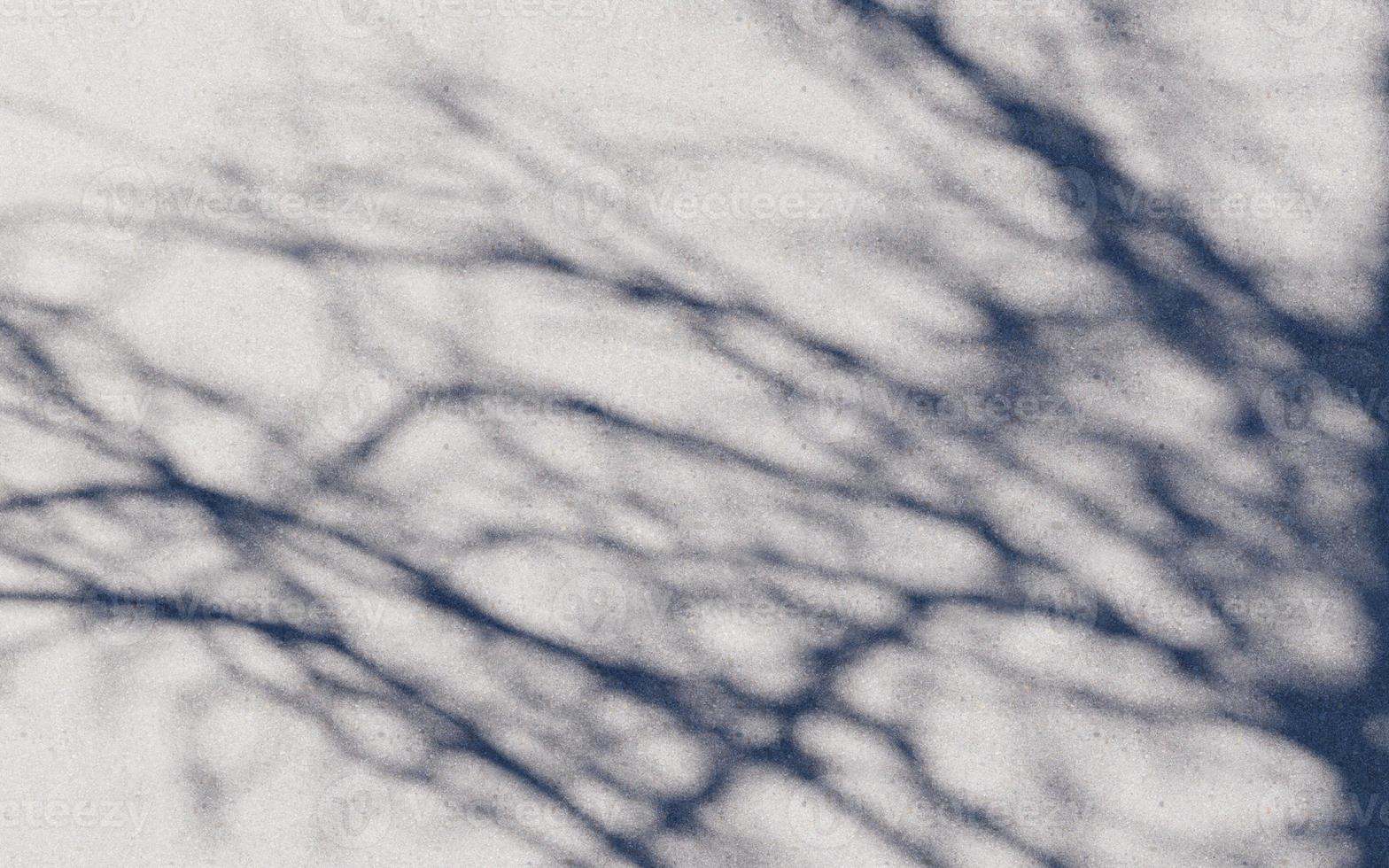 parete struttura ombra albero sfondo astratto design luce del sole foto