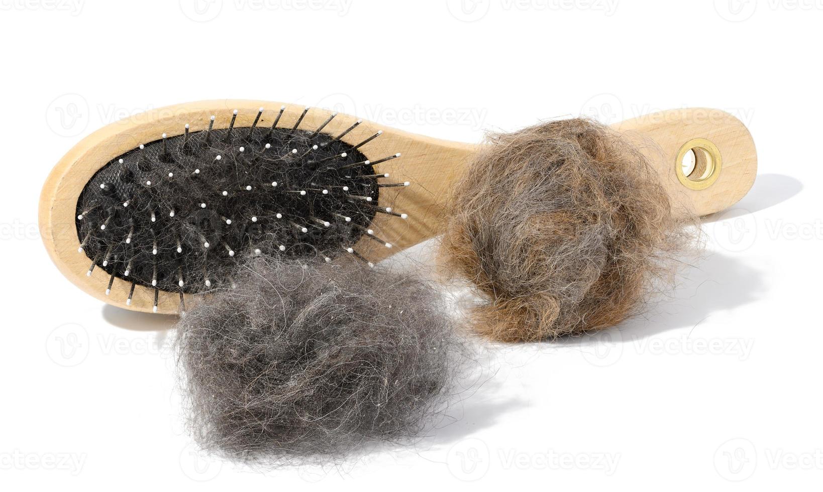 di legno spazzola per pettinatura animale pelliccia e grigio palle di gatto pelliccia su un' bianca sfondo foto