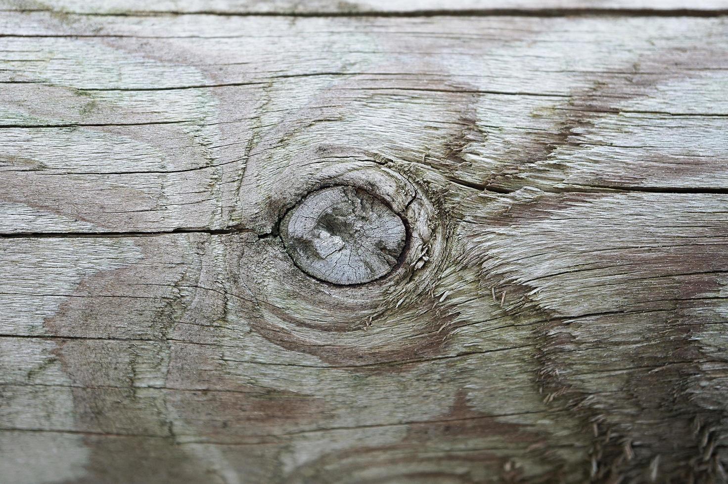 struttura di legno foto