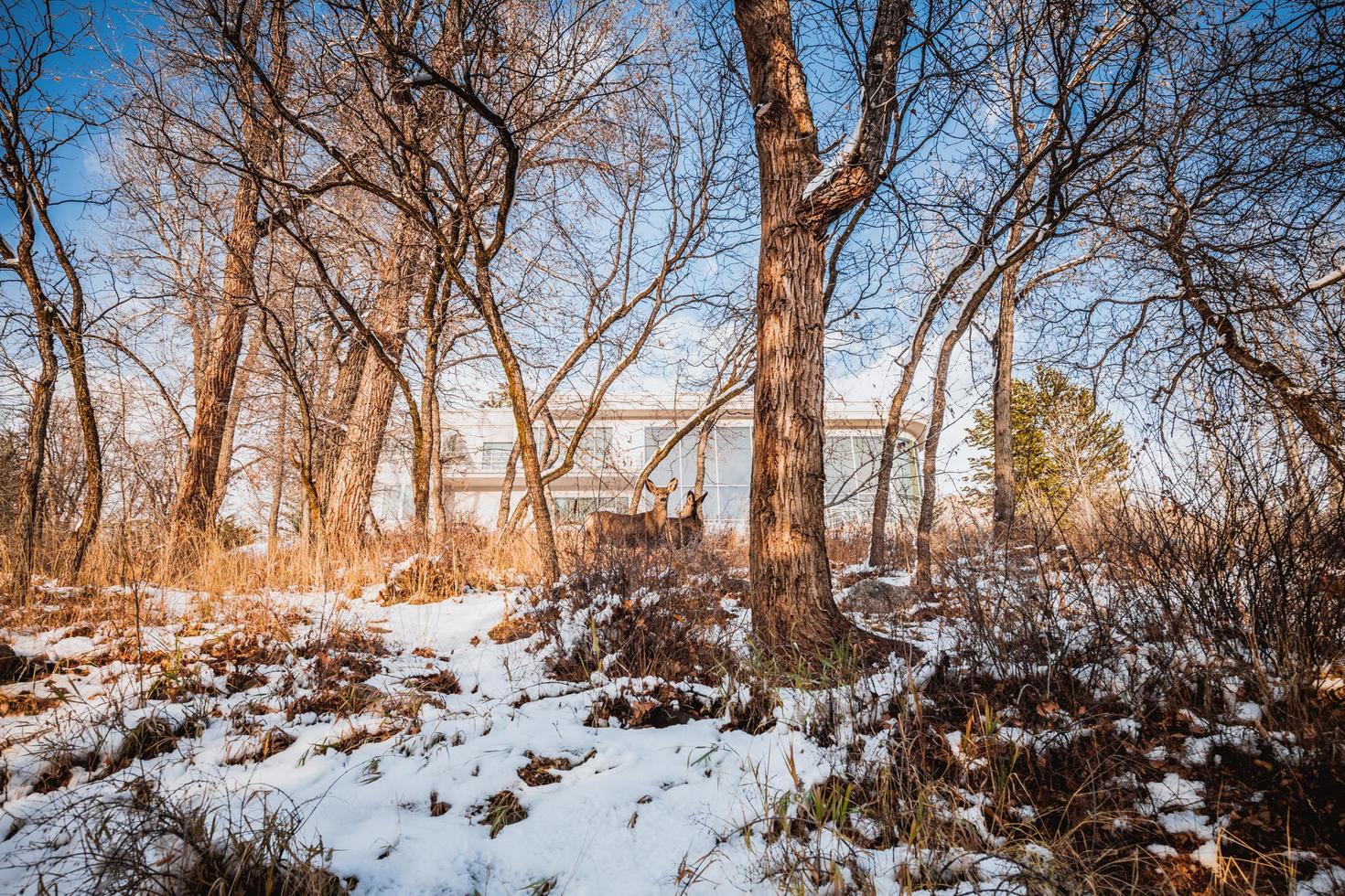 inverno nelle primavere del colorado foto