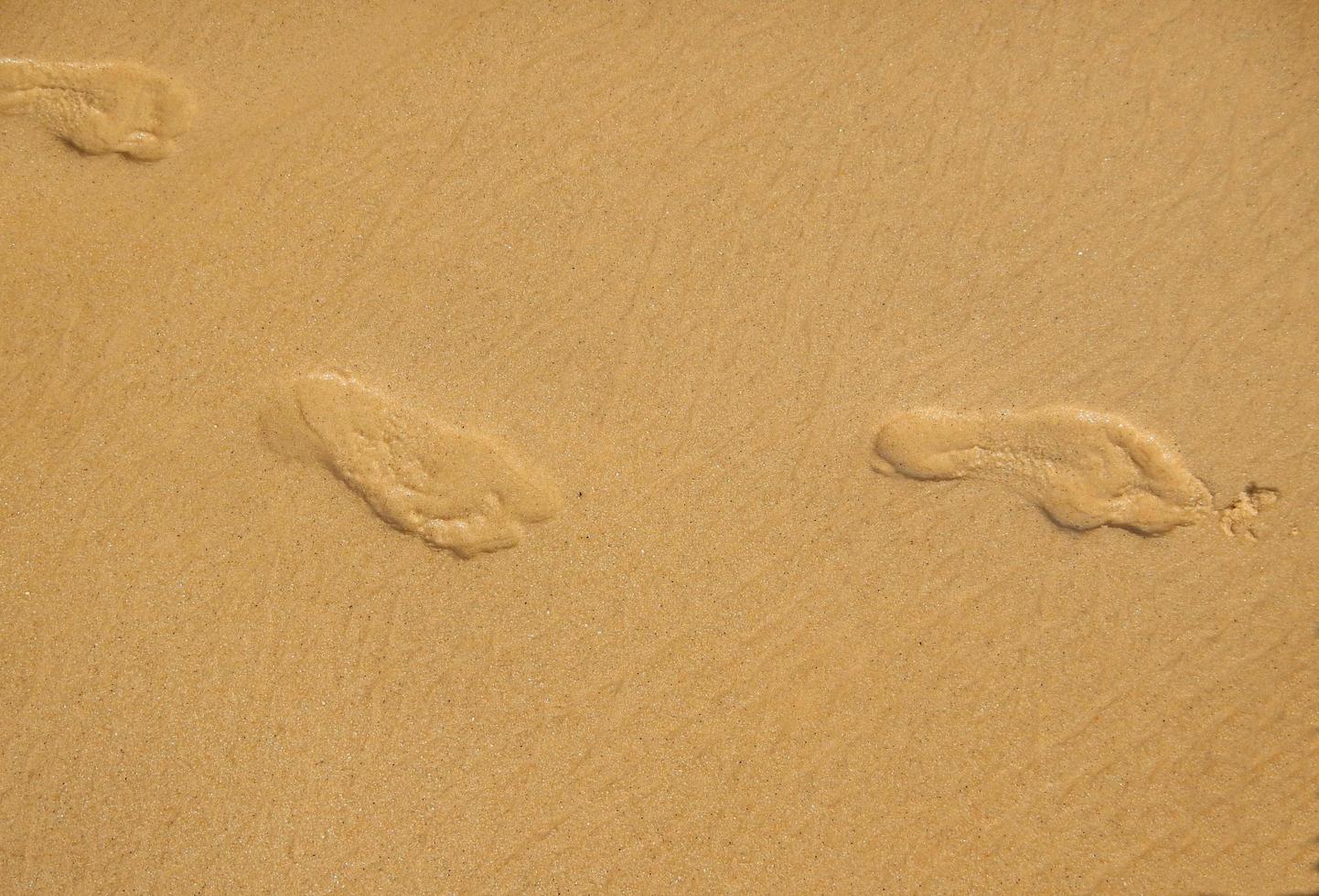 impronte sulla spiaggia di sabbia foto