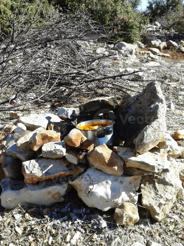 campo fuoco nel alto montagna foresta foto