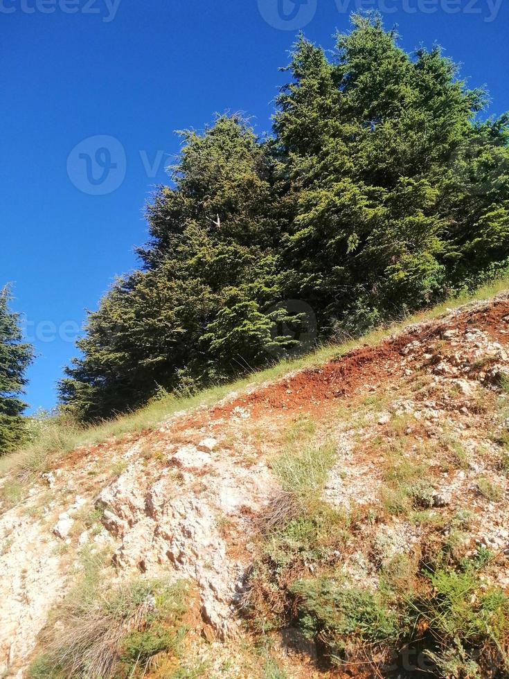 naturale verde scenario nel Libano foto