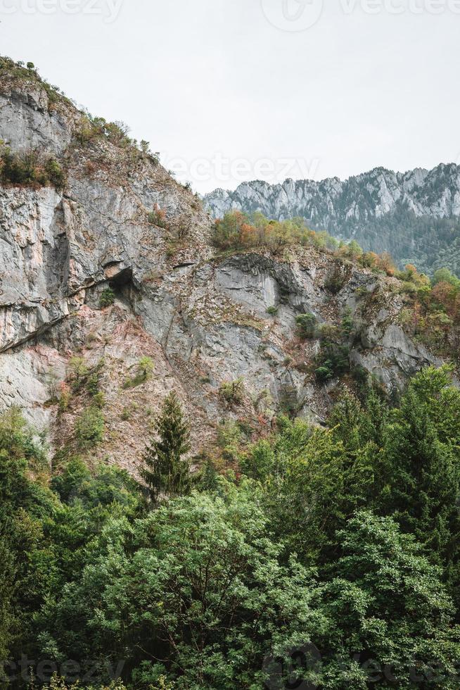 maestoso montagne nel il Alpi coperto con alberi e nuvole foto