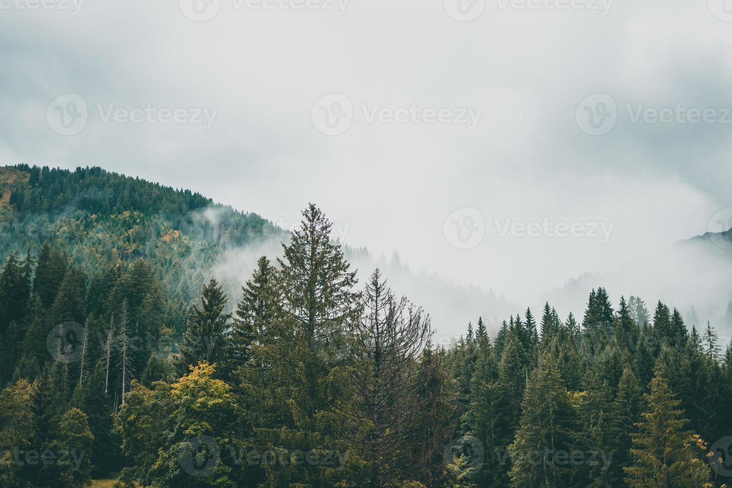 maestoso montagne nel il Alpi coperto con alberi e nuvole foto