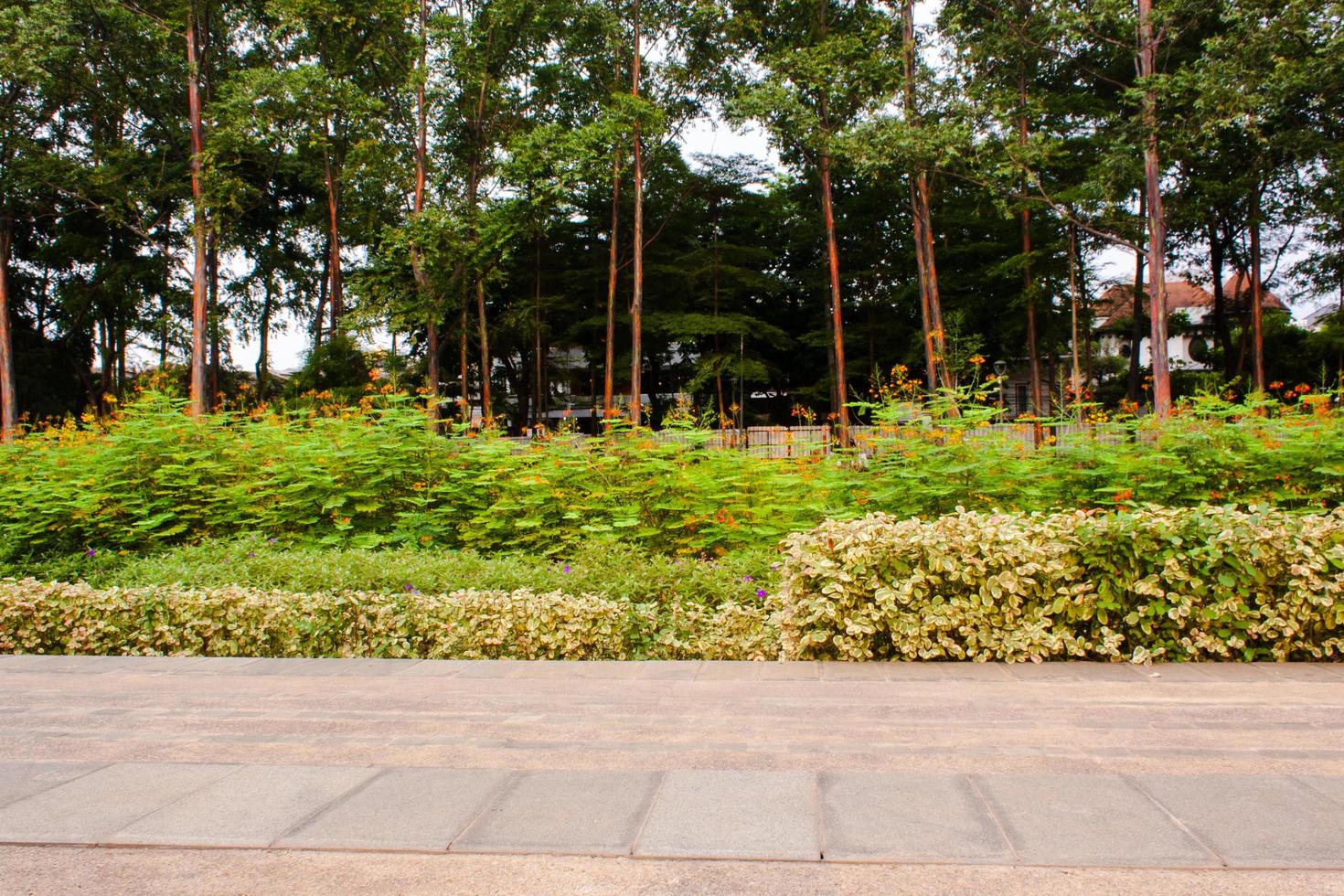 panoramico Visualizza di un' giardino paesaggio con sorprendente impianti e fiori. paesaggi nel il pubblico parco sotto un' nuvoloso cielo foto