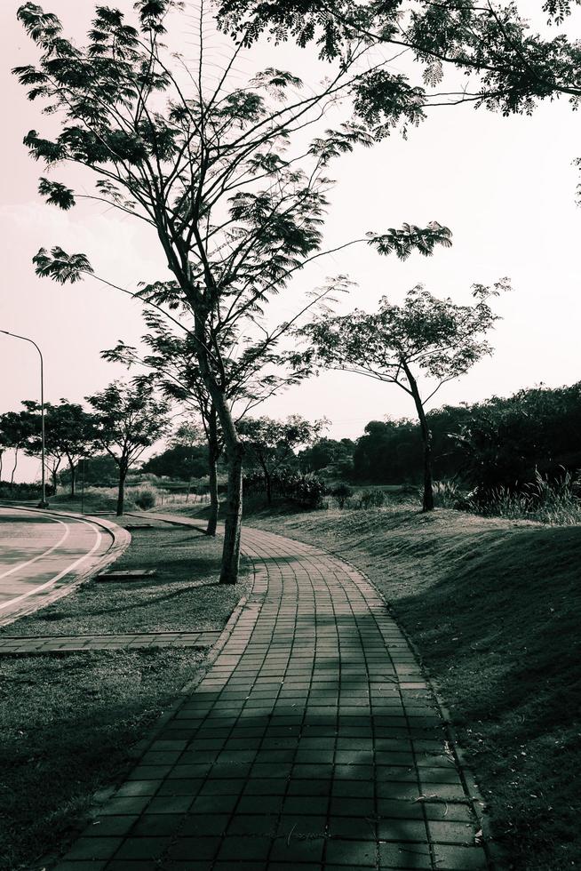 silenzioso strada scena su il marciapiede foto