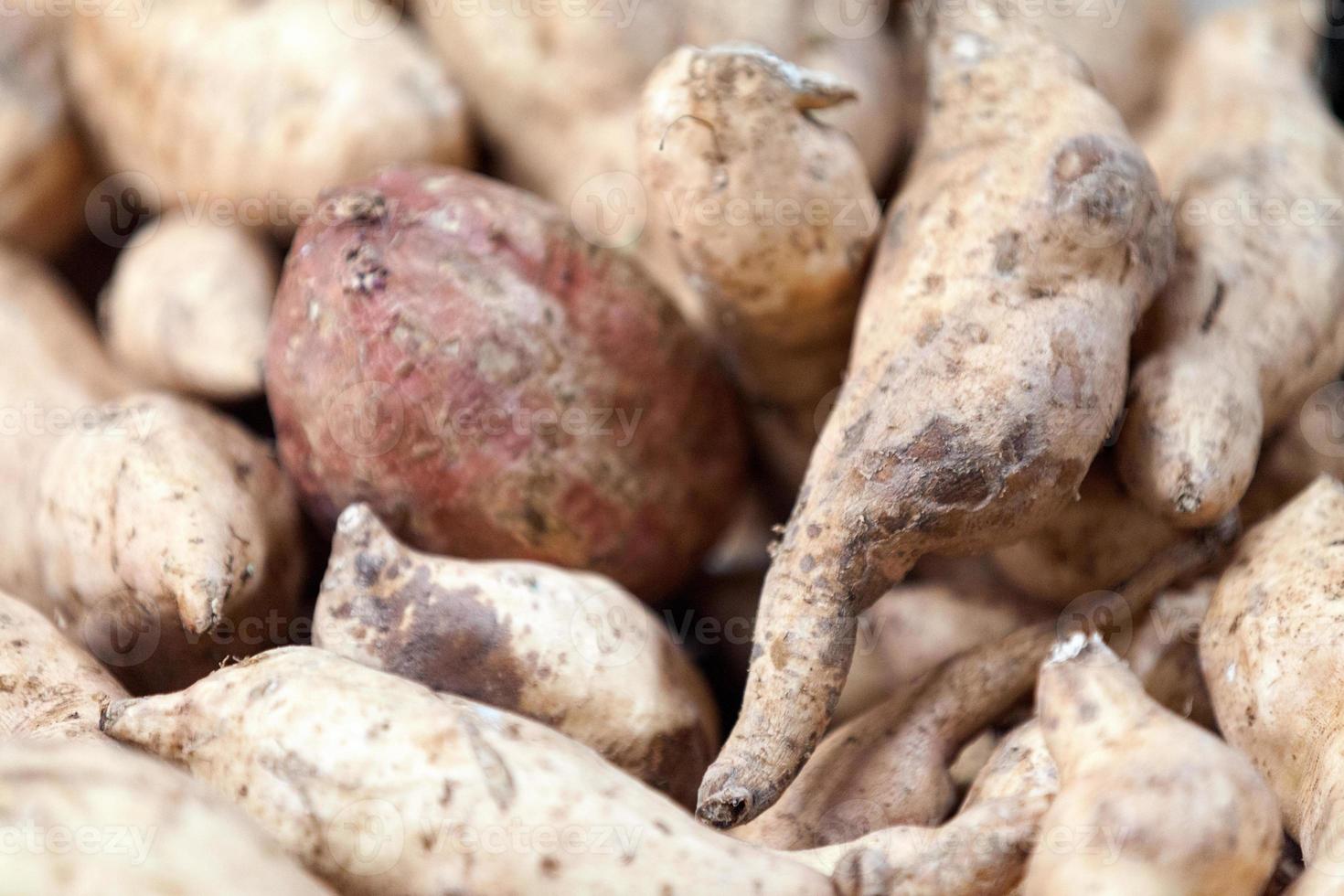 pila di patate dolci su una bancarella del mercato foto