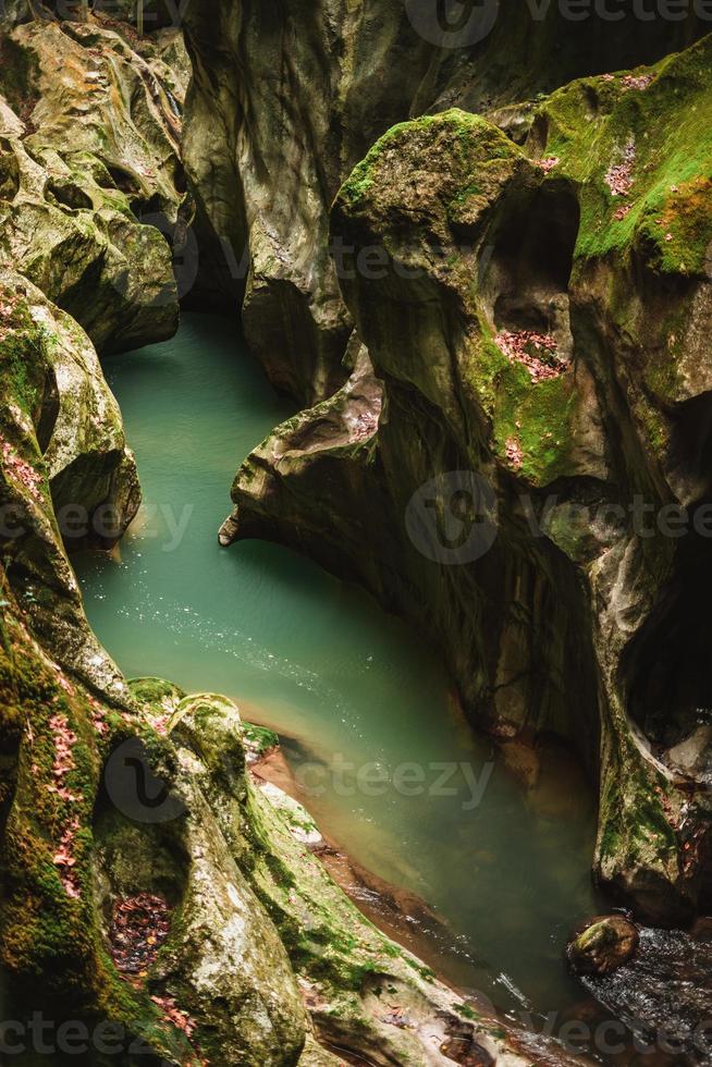 maestoso gole du pont du diable grotta nel Francia foto