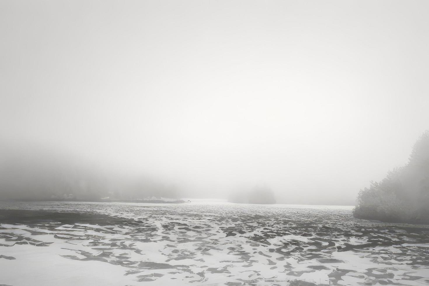 nebbia nel inverno sfondo foto