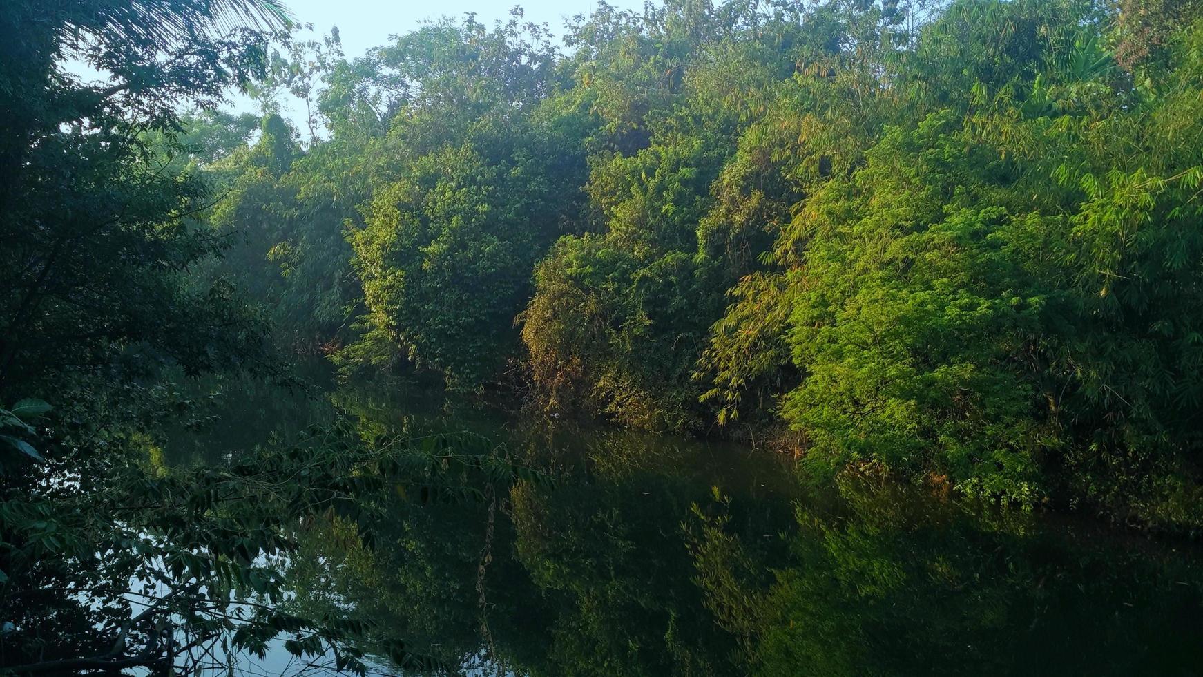 sul fiume con ombreggiato impianti foto