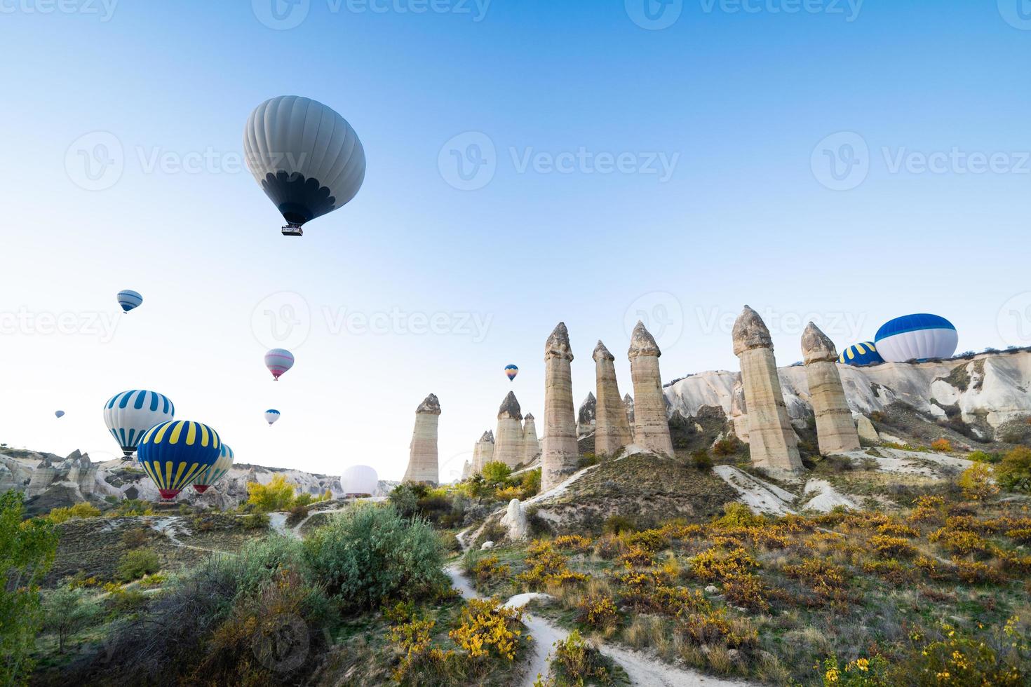 bellissimo scenario volo di palloncini nel il montagne di Cappadocia nel amore valle foto