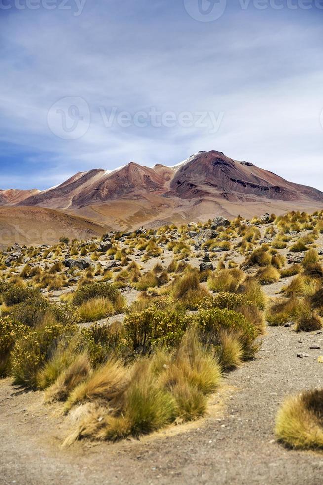 laguna colorada in bolivia foto