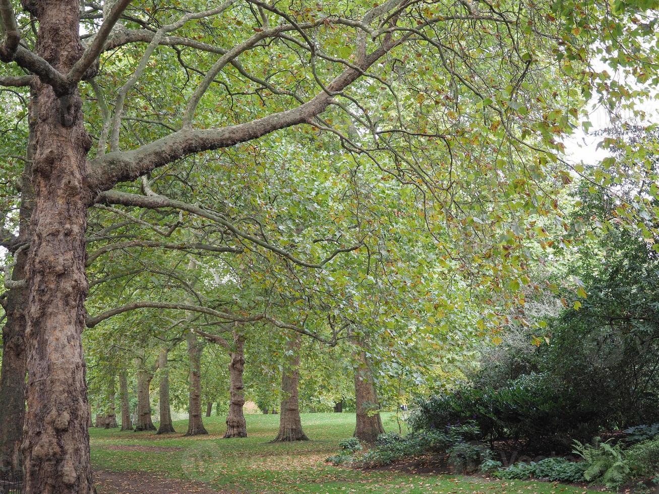 st di Giacomo parco nel Londra foto