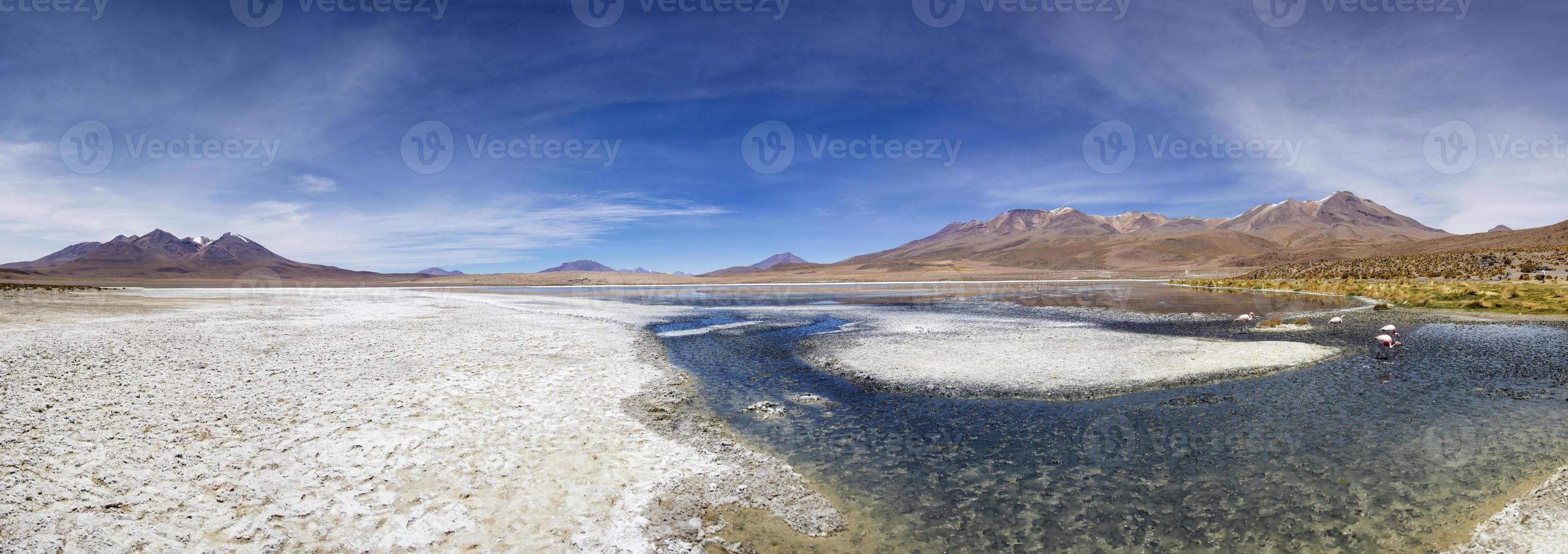 laguna colorada in bolivia foto