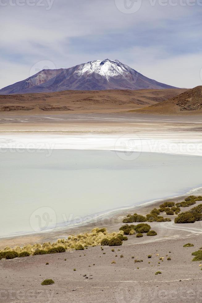 laguna hedionda in bolivia foto