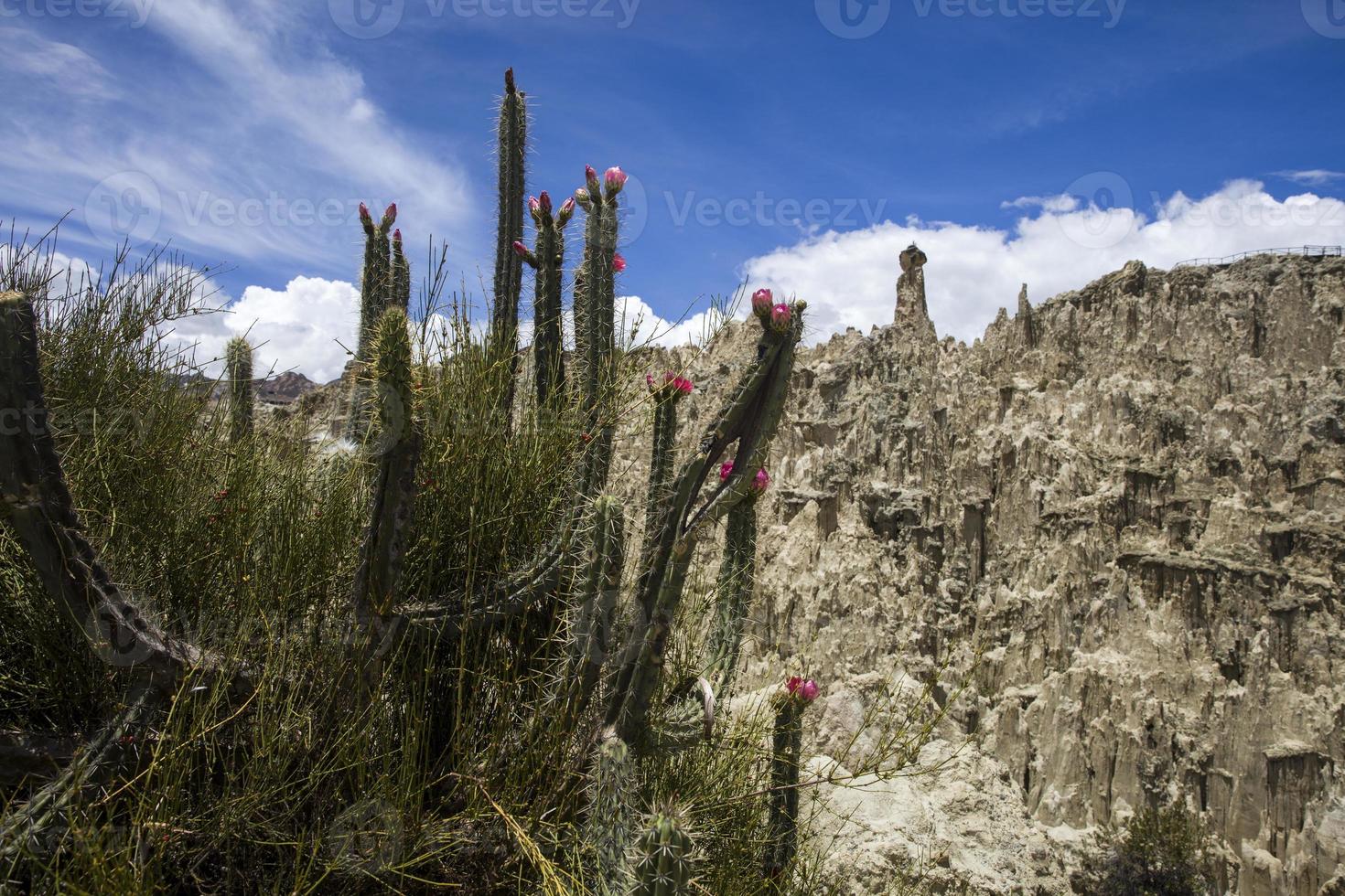 valle de la luna in bolivia foto